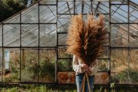 Kaboompics - Woman Holding a Pampas Bouquet in a Sunlit Greenhouse