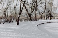 Kaboompics - Curving Stone Border and Bare Trees in a Snowy City Park