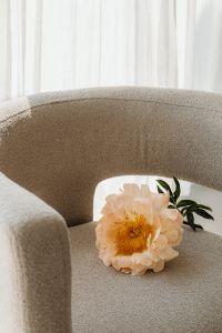 Kaboompics - Cream Flower Framed by a Textured Armchair