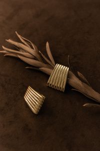 Kaboompics - Gold Earrings With Dried Botanical Stem