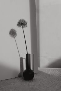 Kaboompics - Floral Still Life with Neutral Fabric Texture