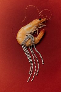 Creative Product Photography with Jewelry, Beauty Products, Fruit, Seafood and Textured Food Styling
