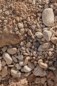 Kaboompics - Mixed Beige Pebbles Scattered Across a Sandy Shore