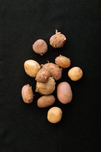 Kaboompics - Small Potatoes on a Black Background