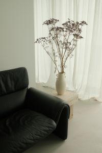 Kaboompics - Dried Flowers in Vase beside Black Leather Armchair