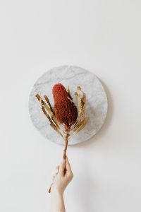 Kaboompics - Hand Holding a Dried Rust-Toned Flower Against Marble for Botanical Product Styling