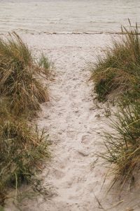 Kaboompics - Sandy Path Through Beach Grass to the Sea