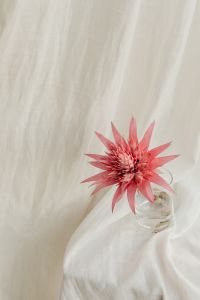 Kaboompics - Neutral Linen Backdrop with Soft Creases