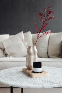 Kaboompics - Red Branch, Vase and Candle in a Minimal Living Room