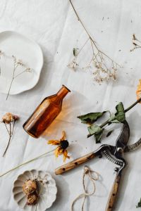 Kaboompics - Amber Glass Bottle and Pruning Shears with Dried Flowers for Botanical Styling