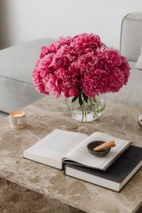 Kaboompics - Pink Peony Bouquet in Bright Living Room with Open Book