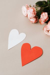 Kaboompics - Large White and Red Paper Hearts Below Blush Roses