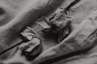 Kaboompics - Black-and-White Dried Roses on Textured Linen