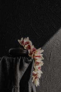 Kaboompics - White Orchids Draped Over a Black Vase in Dramatic Light
