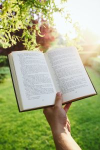 Man Reading a Book Outdoors in a Sunlit Green Park: Relaxed Lifestyle Photography