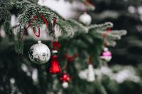 Kaboompics - Blurred Christmas Tree Branch with Red and White Ornaments