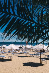 Kaboompics - Umbrellas and lounge chairs on Sunny Beach, Bulgaria