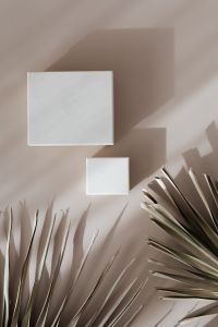 Blank White Box Packaging Mockups on Beige Backgrounds with Dried Palm Leaves