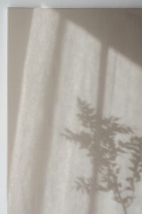 Kaboompics - Out-of-Focus Botanical Shadow on a Sheer Neutral Curtain