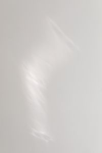 Kaboompics - Soft Shadow Patterns on White Wall Background