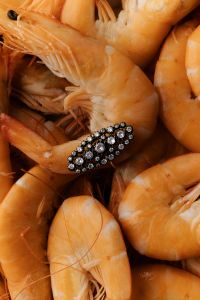 Kaboompics - Cooked Shrimp with Black Crystal Brooch
