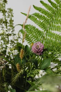 Kaboompics - Close-Up Wildflower Bouquet with Fern Fronds, Pink Clover and Neutral Background