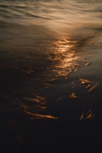 Kaboompics - Dark Water Texture Golden Sunset Swirl Pattern