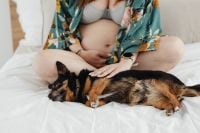 Kaboompics - Pregnant Woman with Small Dog on a Bed