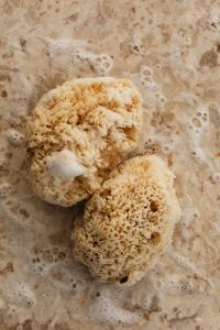 Kaboompics - Natural Sea Sponges in Soap Suds on Stone