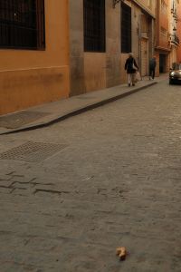 Kaboompics - Pedestrians Walking Along a Cobblestone Street in Old Town
