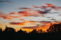 Kaboompics - Sunset over the forest