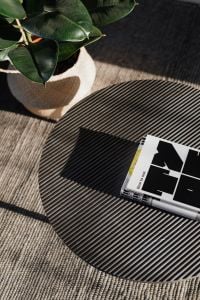 Kaboompics - Open Book on a Ribbed Black Coffee Table beside a Potted Rubber Plant