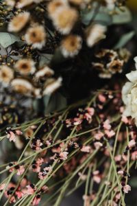 Kaboompics - Dried Daisy and Pink Filler Flowers with Muted Green Foliage, Rustic Bouquet