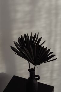 Kaboompics - Black Vase with Dried Palm Leaves and Window Shadows on a Neutral Wall