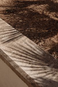 Kaboompics - Mocha Mousse Trend: Free Pantone 2025 Inspired Photos - Wallpapers & Backgrounds