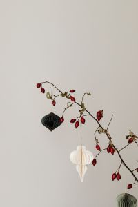 Kaboompics - Red Berry Branch With Hanging Paper Ornaments