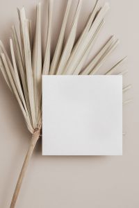 Kaboompics - White Card Mockup beside Dried Palm Leaf on Beige Background