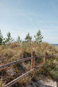 Kaboompics - Pine Trees and Blue Sky Above the Baltic Coast, Coastal Dune Landscape Background