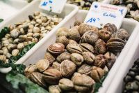 Kaboompics - Cockles and Clams on Ice at La Boqueria Market