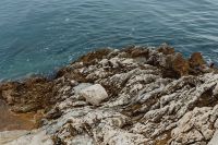 Kaboompics - Rocky coastline on the Adriatic Sea in the small town of Rovinj, Croatia