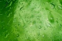 Kaboompics - Aloe Vera Gel Macro Texture Background in Green