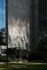 Kaboompics - Concrete Wall and Dark Glass Facade