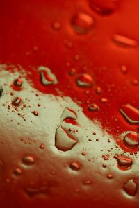 Kaboompics - Red Water Droplets Macro Texture Phone Wallpaper