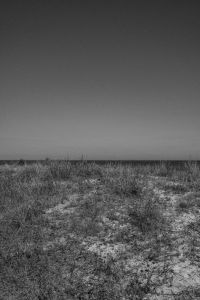 Kaboompics - Black and White Coastal Dune Landscape