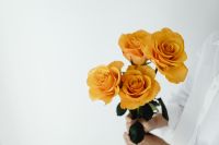 Kaboompics - Orange Rose Bouquet in Hand for Florist Promotions and Floral Branding