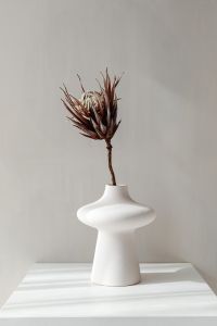 Kaboompics - Dried Protea in a Flared White Vase on Beige