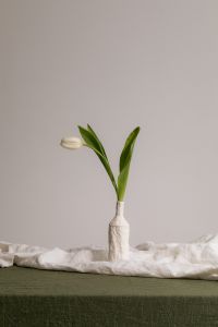 Kaboompics - Easter Still Life with Tulip, Grapes and Quail Eggs on Green Linen