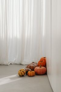Kaboompics - Two Autumn Pumpkins on White Steps