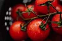 Kaboompics - Macro of Dewy Cherry Tomatoes Against a Dark Colander