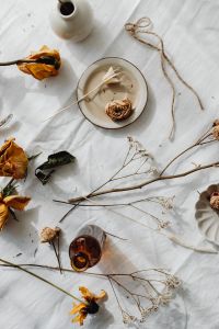 Kaboompics - Overhead Dried Flowers, Ceramic Tableware and Amber Glass for Lifestyle Backgrounds
